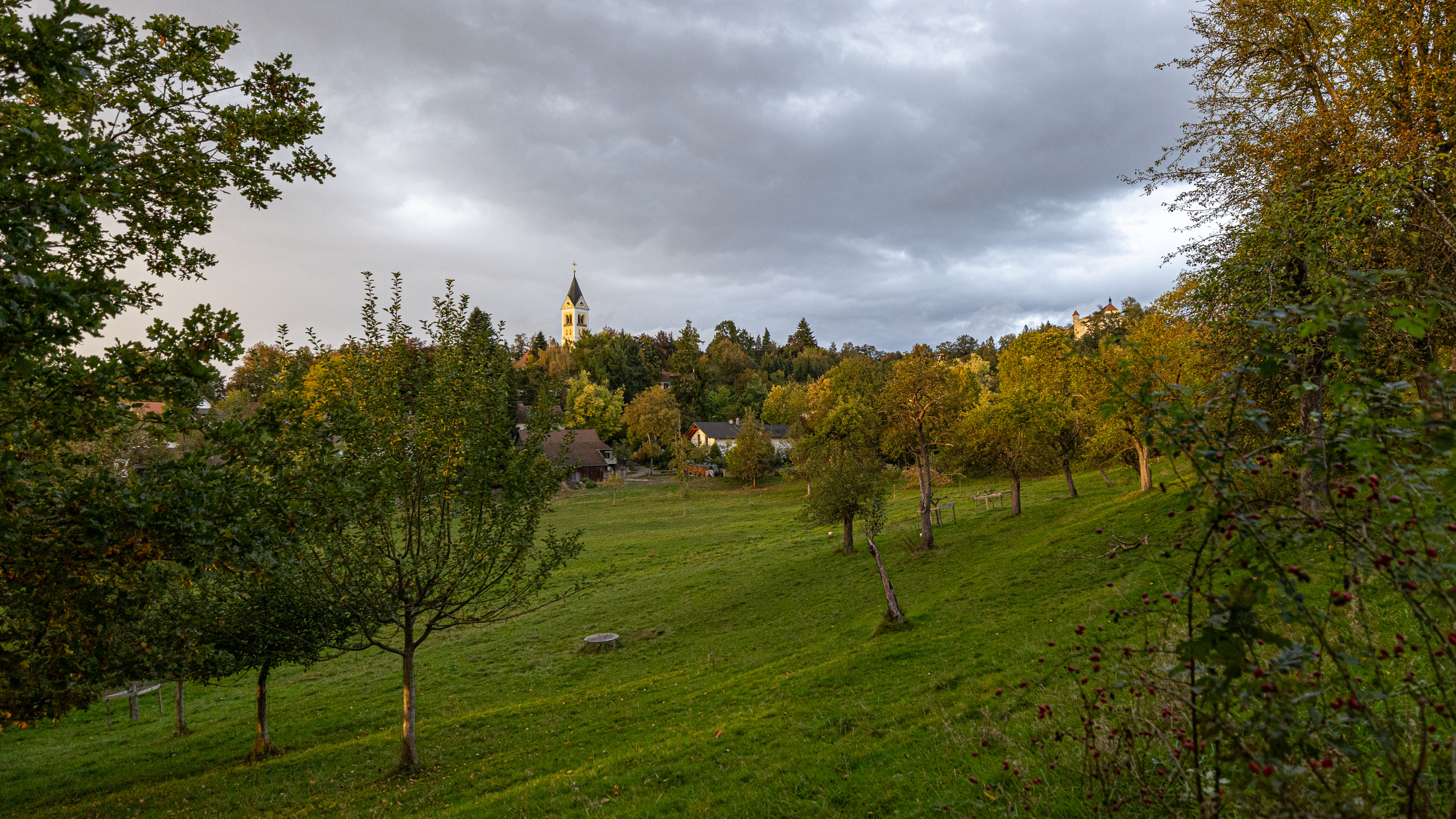 20231014173936 R5D 4217